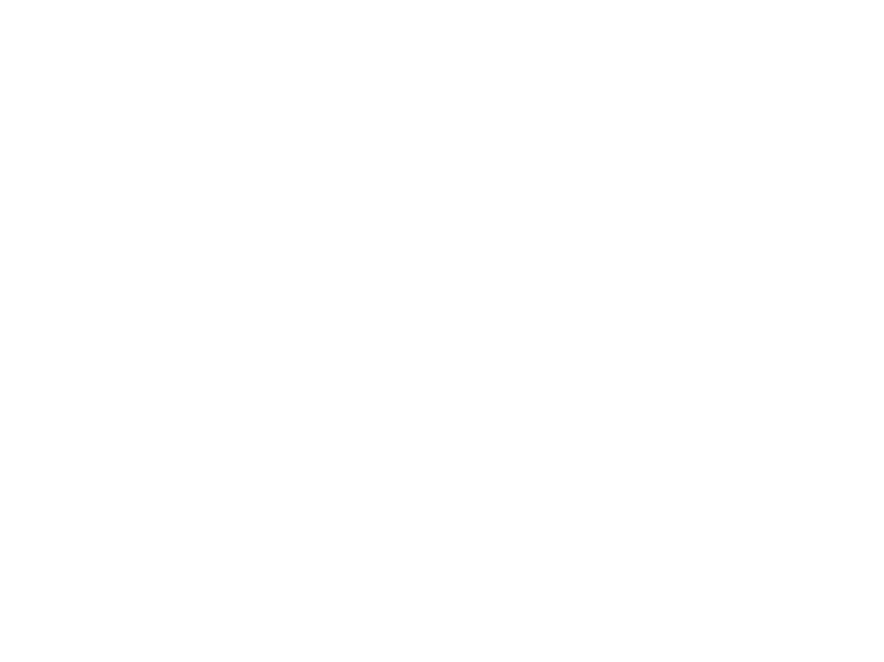 Castore