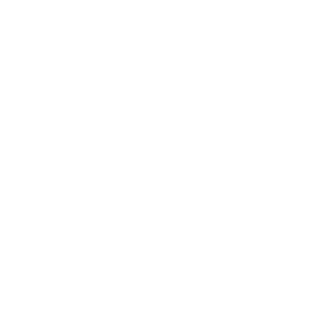 Castore